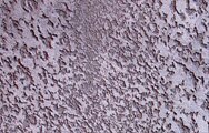 Нанесение декоративного покрытия на стены -эффект снег
